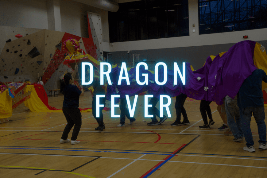PulseActiv Team Building Indoor Activity