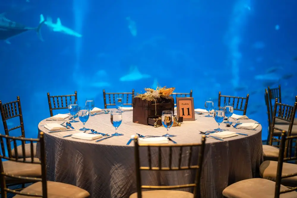 Dinner Party