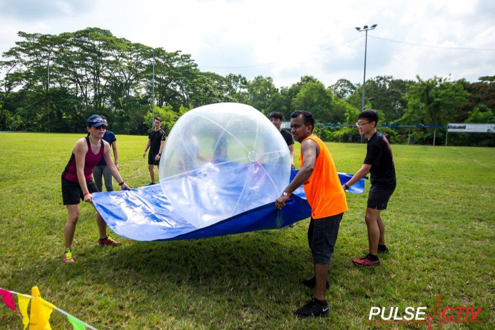 Wacky War Past Activity 4